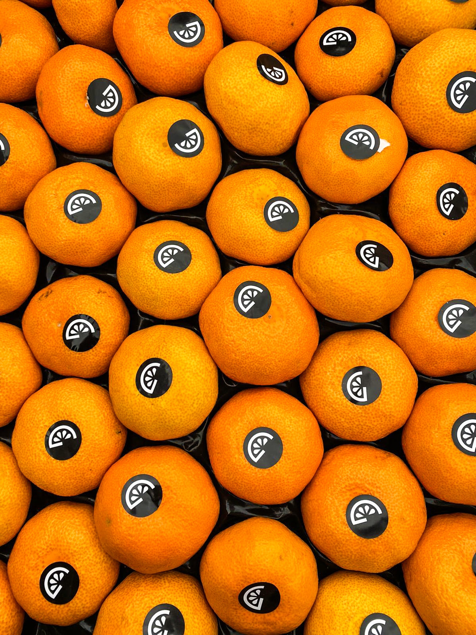 XL Clementines Online Fruit & Veg