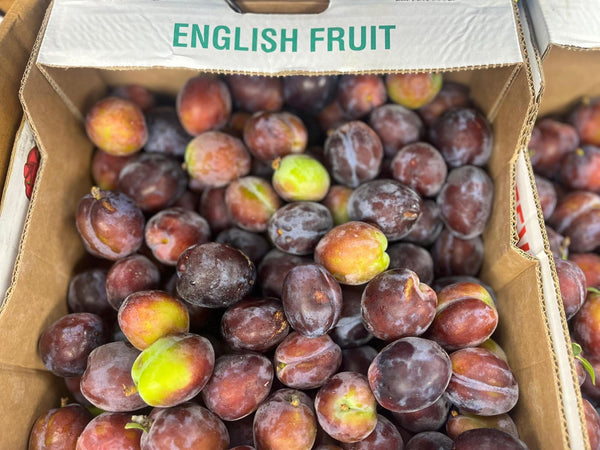 English Plums