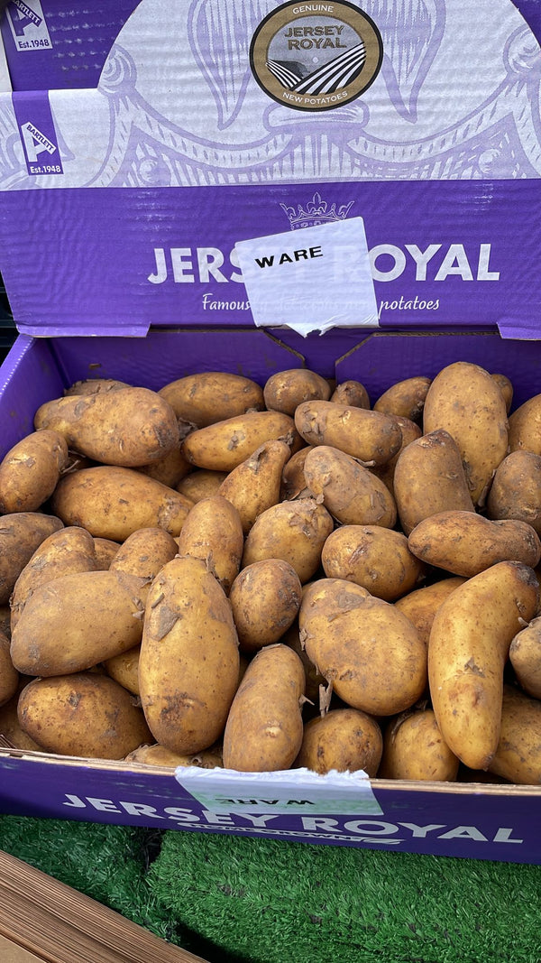 Genuine Jersey Royal Potatoes (Ware)