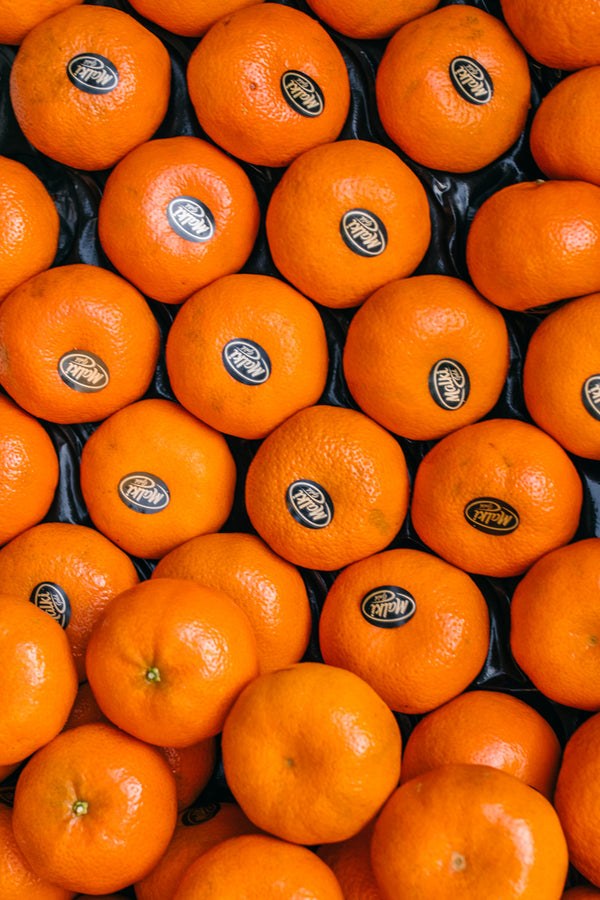 Extra Large Xmas Satsumas