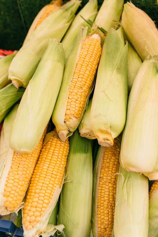 Corn On The Cob