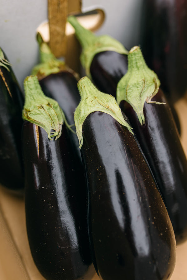 Fresh Aubergine Delivery - Online Fruit & Veg - Fruit & Veg Boxes