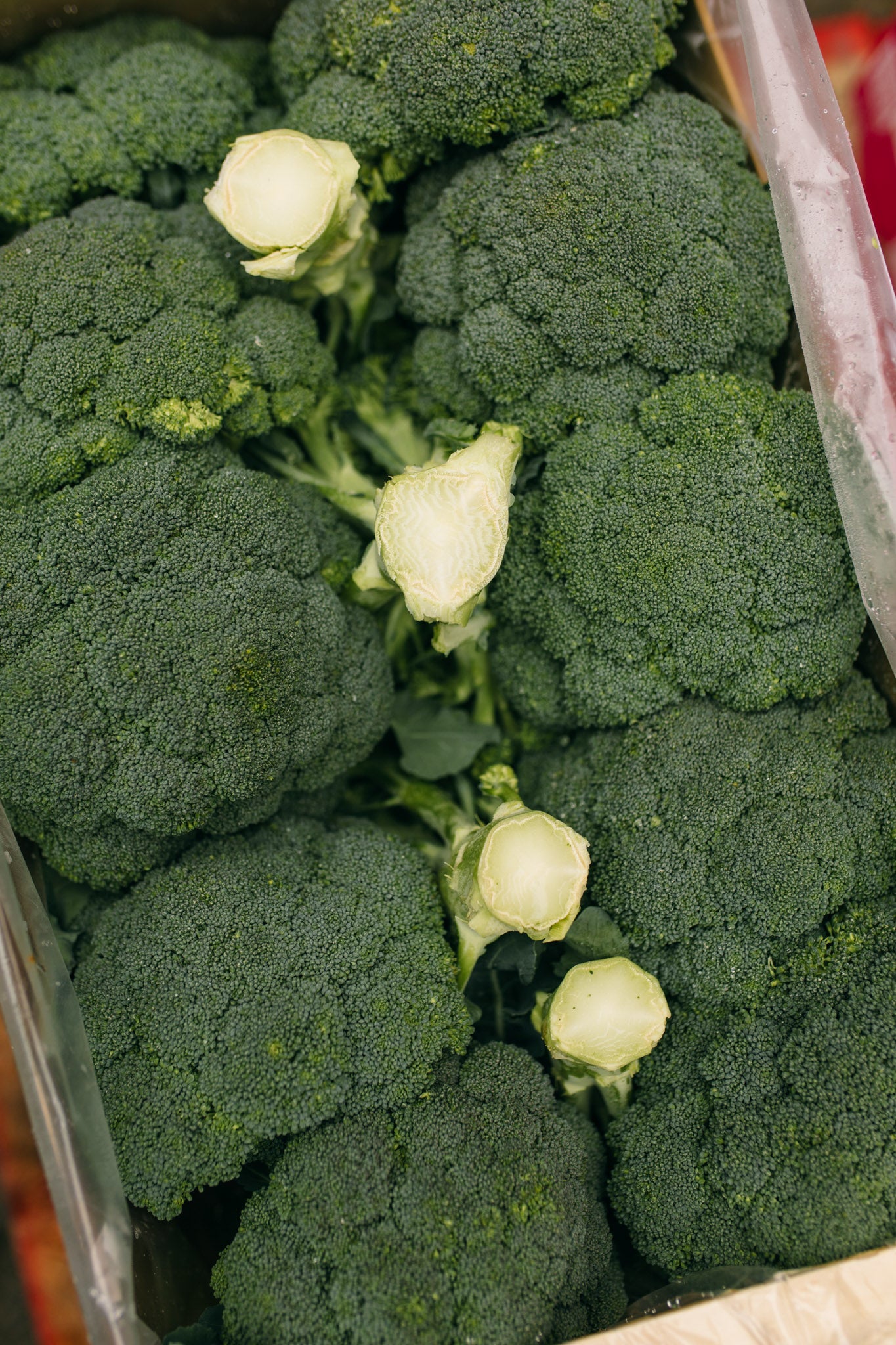 New Broccoli Fresh Broccoli Delivery | Online Fruit & Veg