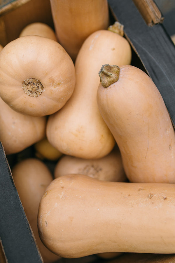 Fresh Butternut Squash Delivery - Online Fruit & Veg - Fruit & Veg Boxes