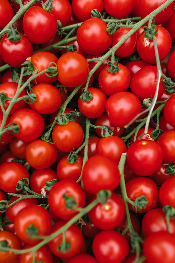 Cherry Vine Tomatoes
