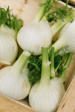 Fresh Fennel Bulbs Delivery - Online Fruit & Veg - Fruit & Veg Boxes