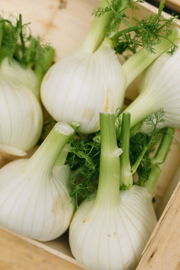 Fresh Fennel Bulbs Delivery - Online Fruit & Veg - Fruit & Veg Boxes