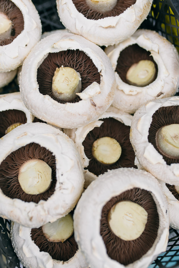 Fresh Flat Mushroom Delivery - Online Fruit & Veg - Fruit & Veg Boxes