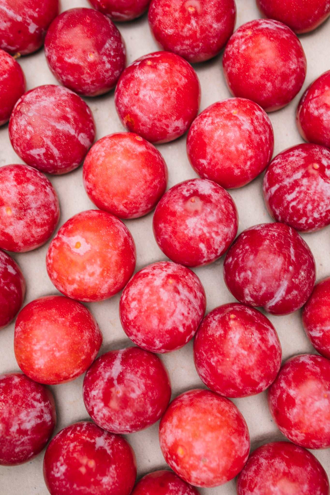 Fresh Laetitia Plums Delivery Online Fruit & Veg