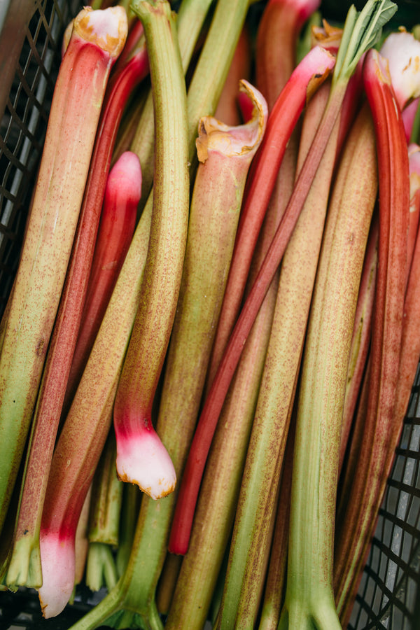 Fresh Rhubharb Delivery - Online Fruit & Veg - Fruit & Veg Boxes