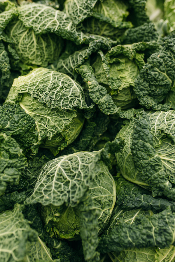 Fresh Savoy Cabbage Delivery - Online Fruit & Veg - Fruit & Veg Boxes