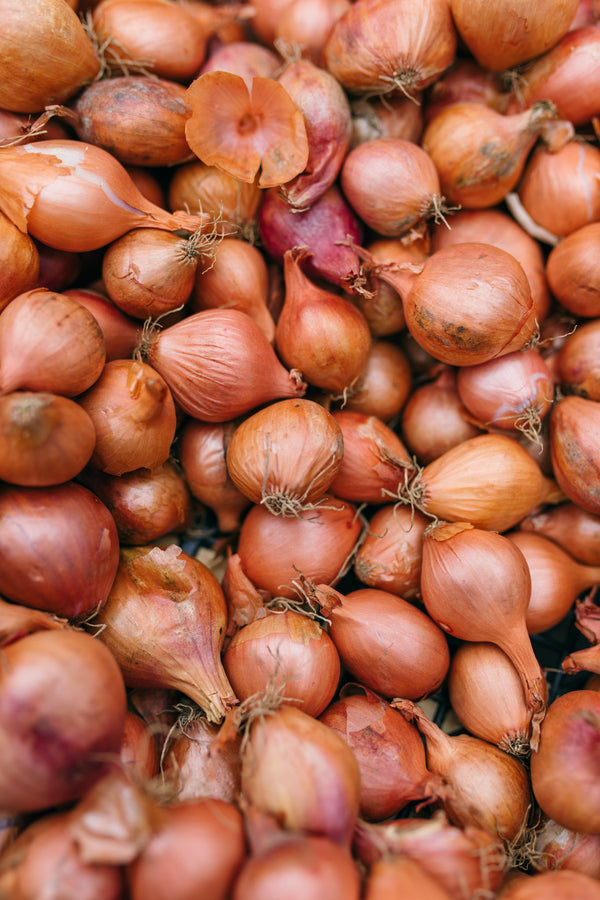 Fresh Shallots Delivery - Online Fruit & Veg - Fruit & Veg Boxes