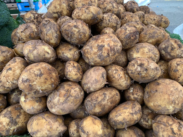Shropshire wilja potatoes