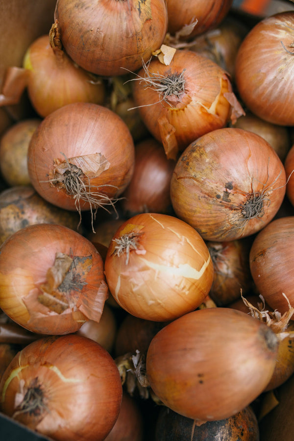 English Cooking onions