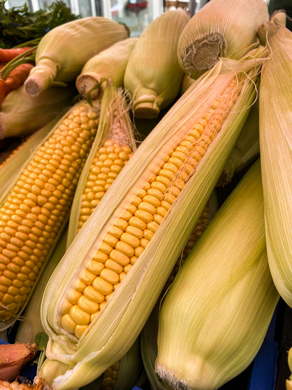 Winter Corn On The Cob
