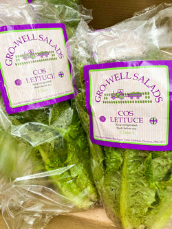 Fresh Cos Lettuce Delivery - Online Fruit & Veg - Fruit & Veg Boxes