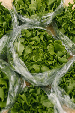 Fresh Flat Lettuce Delivery - Online Fruit & Veg - Fruit & Veg Boxes