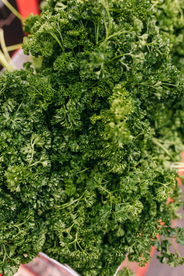 Fresh Fresh Bunched Parsley Delivery - Online Fruit & Veg - Fruit & Veg Boxes