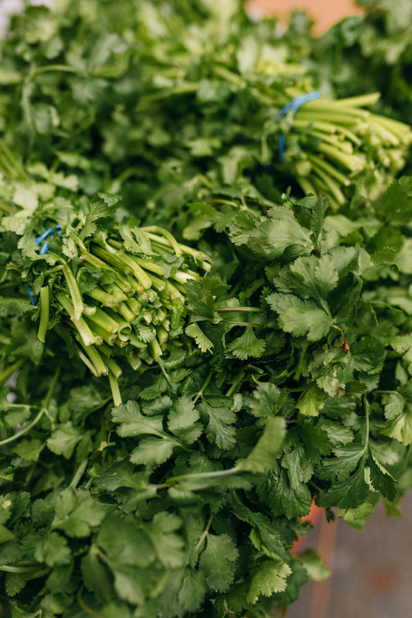 Fresh Fresh Coriander Delivery - Online Fruit & Veg - Fruit & Veg Boxes