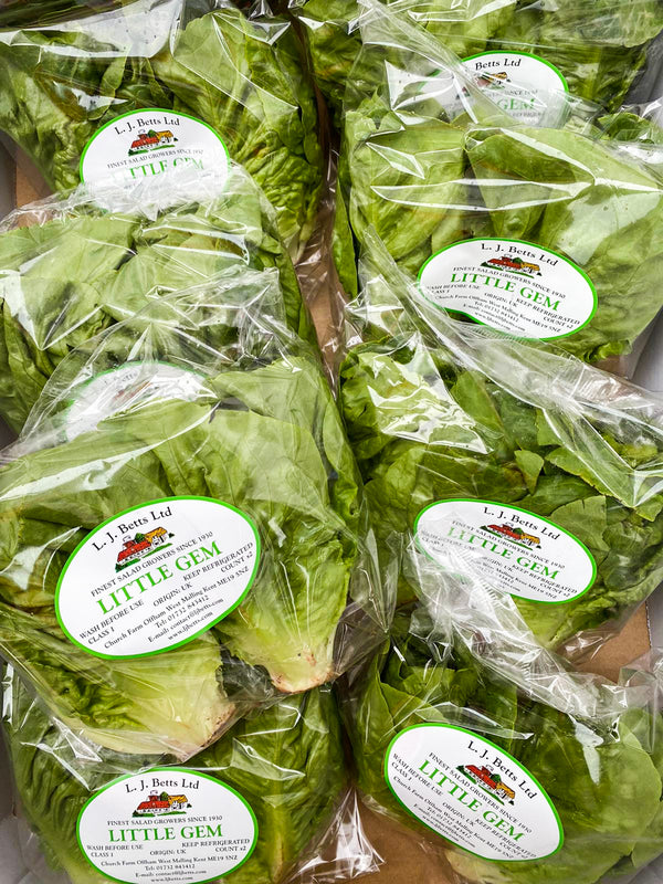 Fresh Little Gem Lettuce Delivery - Online Fruit & Veg - Fruit & Veg Boxes