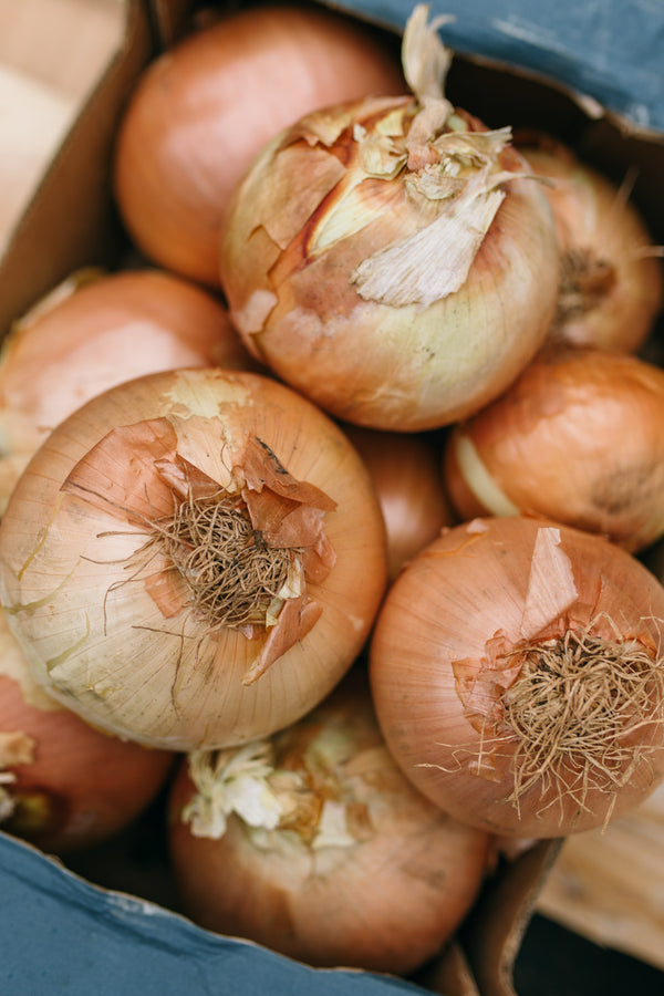 Fresh Spanish Onions Delivery - Online Fruit & Veg - Fruit & Veg Boxes